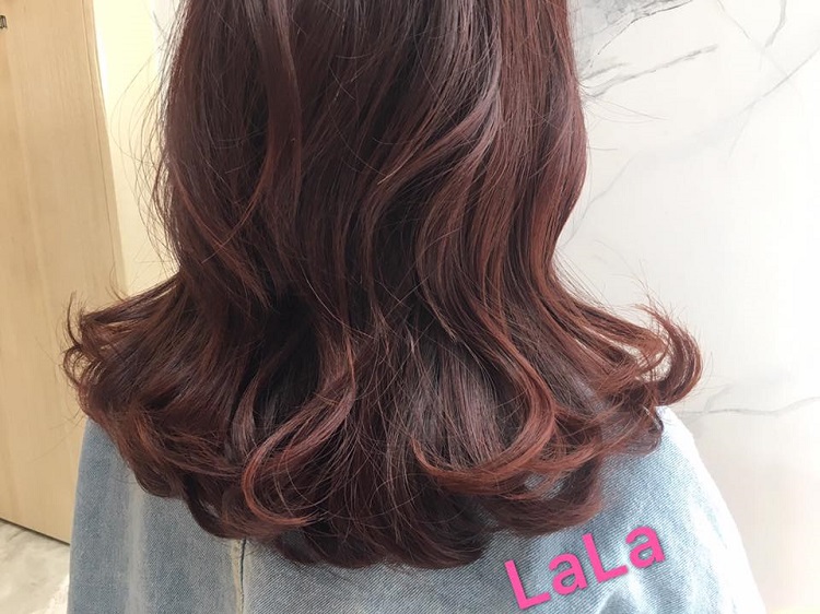 台中燙髮染髮推薦 Edify LaLa莓果咖啡色系04-22585511